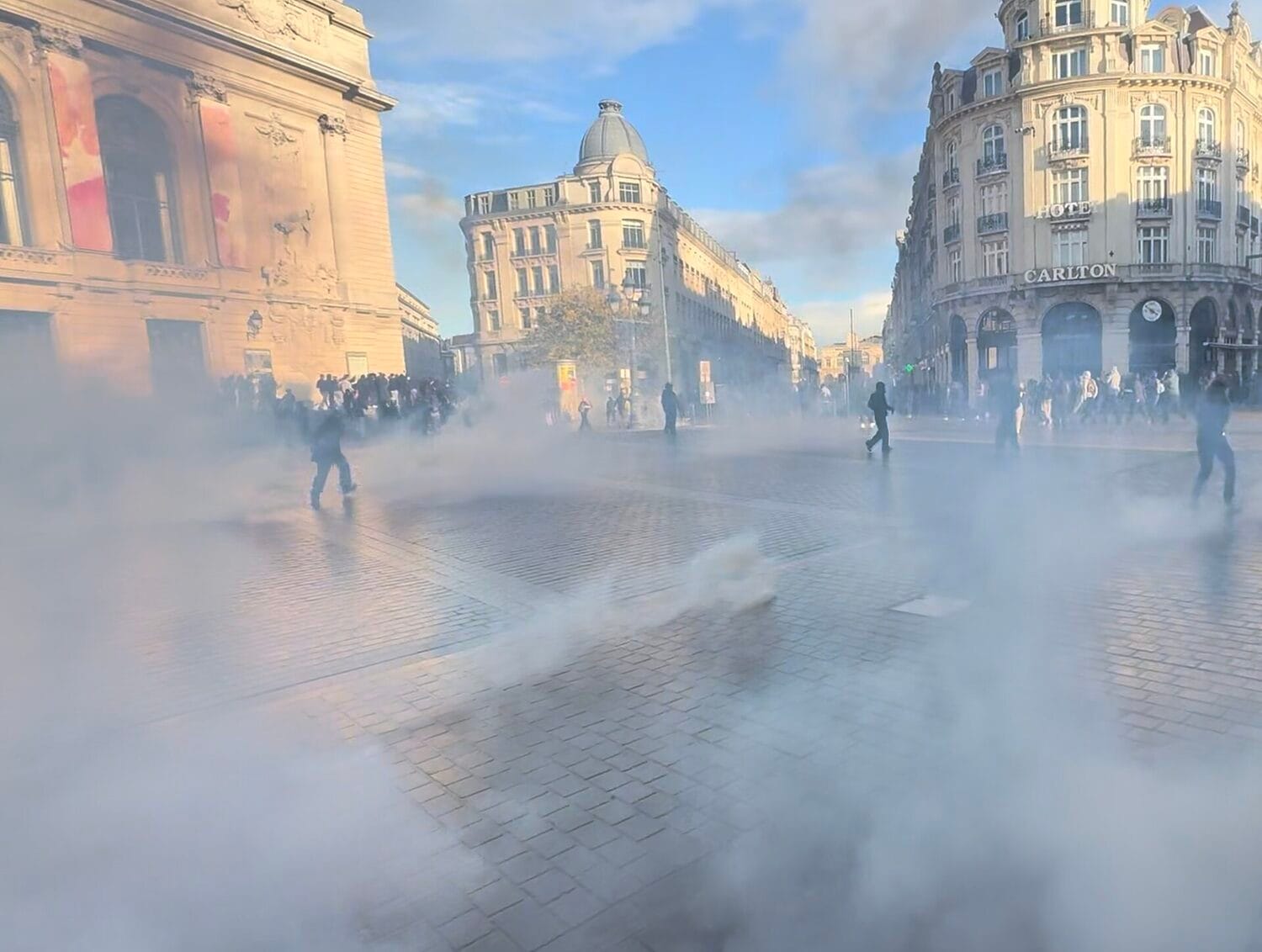 Manifestants défilant à Lille le 17 octobre 2026