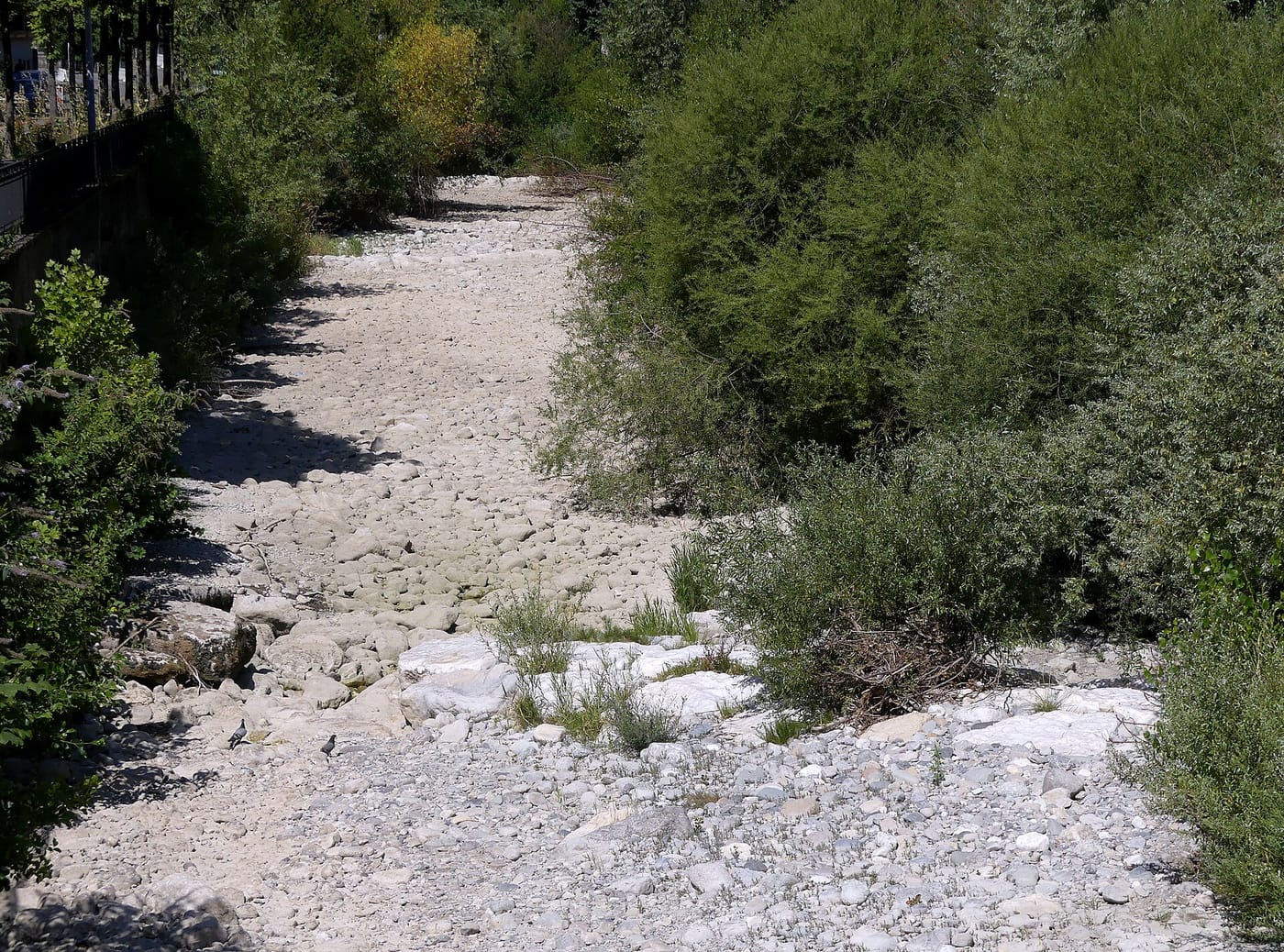 Lit d'une rivière entièrement asséché, réduit à des galets blancs entre des berges boisées, à Chambéry pendant la sécheresse de juillet 2022.