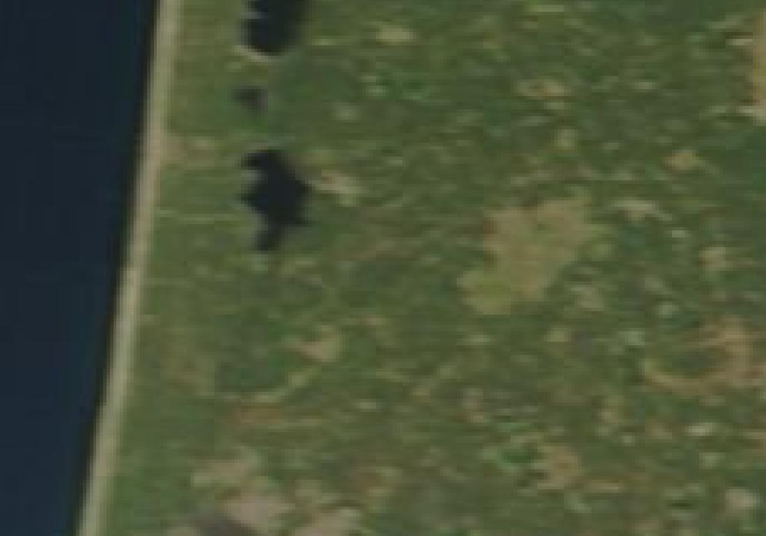 Vue satellite MODIS du massif de pin maritime entre Lacanau et Le Temple (Gironde), avant et pendant le mégafeu de juillet 2026 — 12 juillet 2026