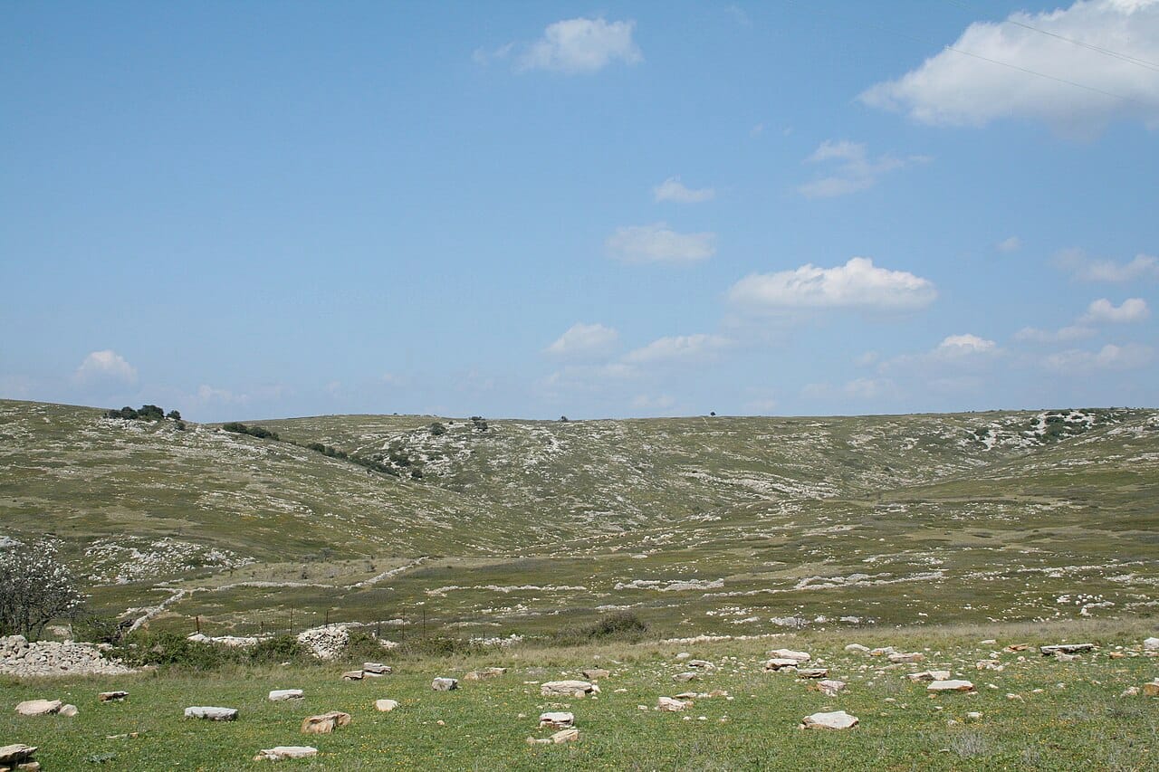 Paysage de garrigue méditerranéenne desséchée dans l'Hérault
