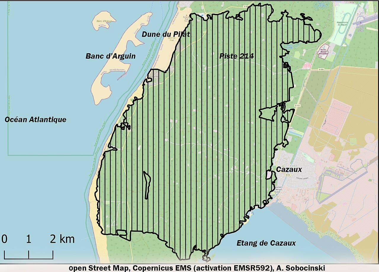 Front de flammes et fumée dans une forêt de pins